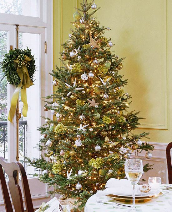 Oh Christmas Tree!