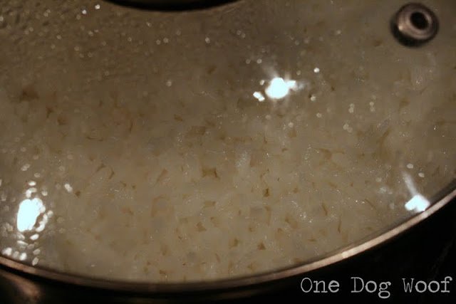 One Dog Woof: How to Make Rice
