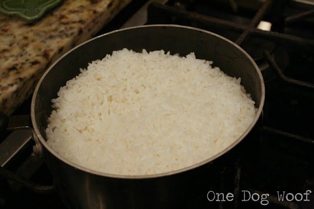 One Dog Woof: How to Make Rice
