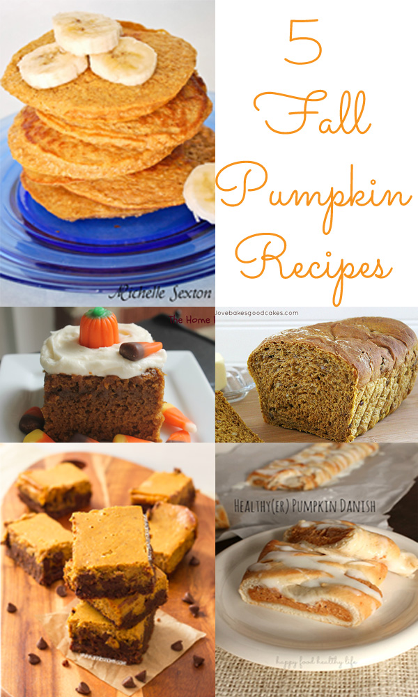 5 Fall Pumpkin Recipes from The Project Stash
