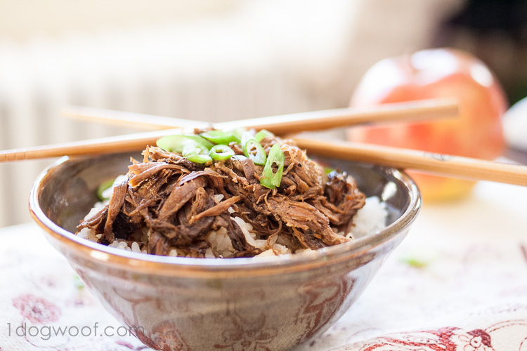 Asian Crockpot Pulled Pork with Apples