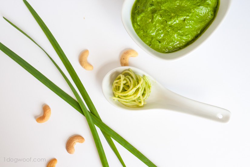 Substitute cashews for pine nuts in garlic chive pesto | www.1dogwoof.com