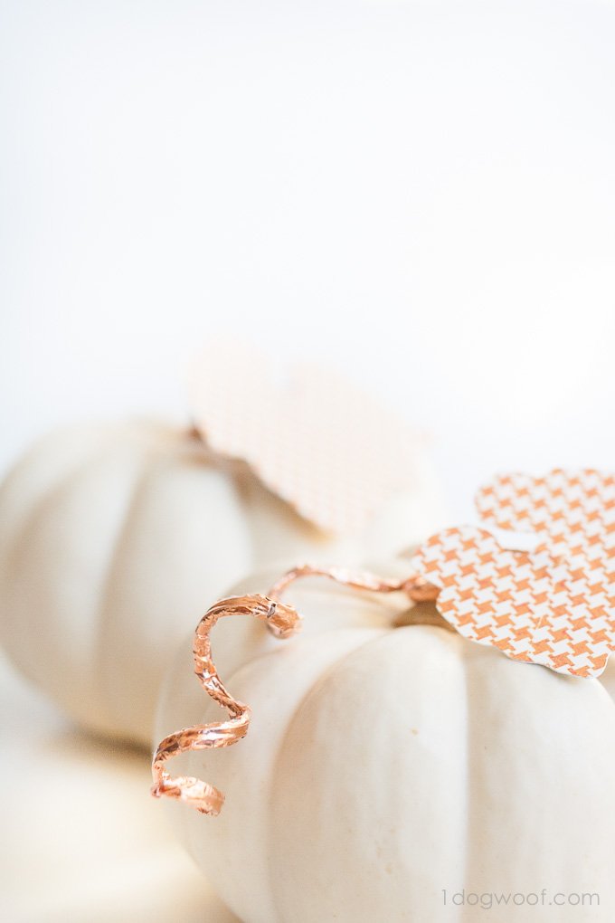 Cut a leaf with a Silhouette Cameo and add some copper wire to decorate a white pumpkin | www.1dogwoof.com