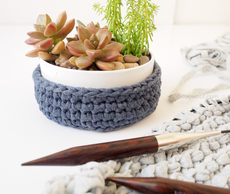 DIY Succulent Planter with Crochet Holder