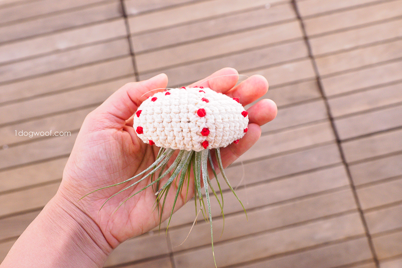 crochet air plant jellyfish | www.1dogwoof.com
