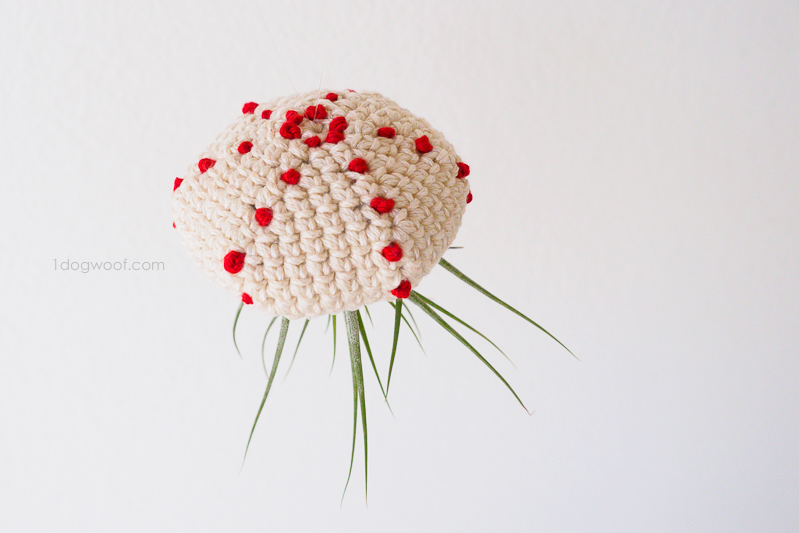 crochet air plant jellyfish | www.1dogwoof.com