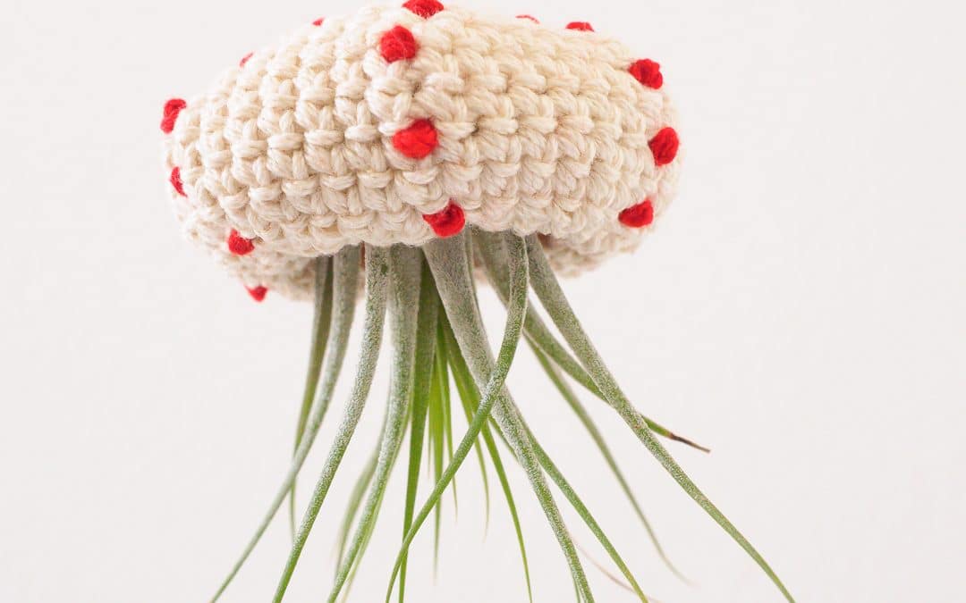 Crochet Air Plant Jellyfish Tutorial