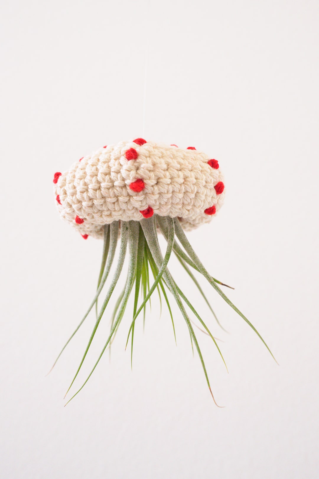 Crochet Air Plant Jellyfish Tutorial